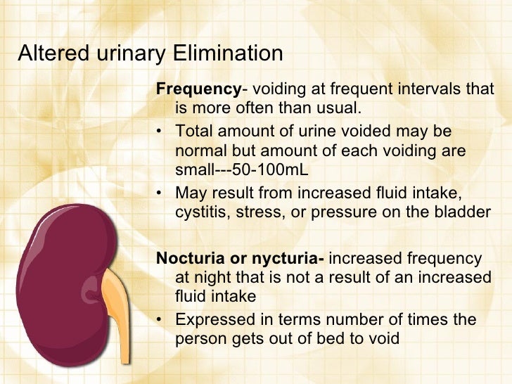 urinary elimination Bowel elimination elimination of bowel waste (defecation) is a basic human need and is essential for normal body function normal bowel elimination depends on several factors: a balanced diet, including high-fiber foods a daily fluid intake of 2000-3000 and activity to promote muscle tone and peristalsis. urinary elimination Bowel elimination elimination of bowel waste (defecation) is a basic human need and is essential for normal body function normal bowel elimination depends on several factors: a balanced diet, including high-fiber foods a daily fluid intake of 2000-3000 and activity to promote muscle tone and peristalsis.