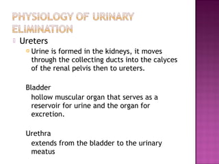  Ureters
 Urine is formed in the kidneys, it moves
through the collecting ducts into the calyces
of the renal pelvis then to ureters.
Bladder
hollow muscular organ that serves as a
reservoir for urine and the organ for
excretion.
Urethra
extends from the bladder to the urinary
meatus
 