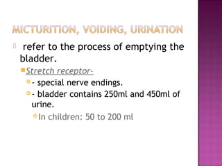  refer to the process of emptying the
bladder.
Stretch receptor-
 - special nerve endings.
 - bladder contains 250ml and 450ml of
urine.
In children: 50 to 200 ml
 