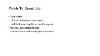 Points To Remember
• Glomerulus
- Fluids and solutes move across
Endothelium of capillaries into the capsule
• Proximal convoluted tubule
- Most of water and electrolytes reabsorbed
 