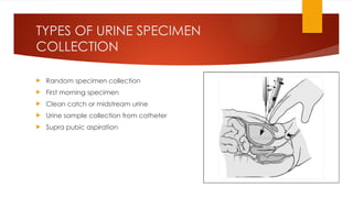 TYPES OF URINE SPECIMEN
COLLECTION
 Random specimen collection
 First morning specimen
 Clean catch or midstream urine
 Urine sample collection from catheter
 Supra pubic aspiration
 