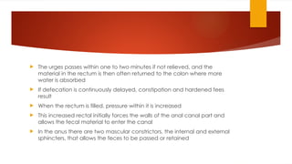  The urges passes within one to two minutes if not relieved, and the
material in the rectum is then often returned to the colon where more
water is absorbed
 If defecation is continuously delayed, constipation and hardened fees
result
 When the rectum is filled, pressure within it is increased
 This increased rectal initially forces the walls of the anal canal part and
allows the fecal material to enter the canal
 In the anus there are two mascular constrictors, the internal and external
sphincters, that allows the feces to be passed or retained
 