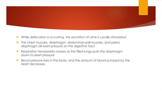  While defecation is occurring, the excretion of urine is usually stimulated
 The chest muscles, diaphragm, abdominal-wall muscles, and pelvic
diaphragm all exert pressure on the digestive tract
 Respiration temporarily ceases as the filled lungs push the diaphragm
down to exert pressure
 Blood pressure rises in the body, and the amount of blood pumped by the
heart decreases
 