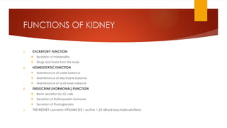 FUNCTIONS OF KIDNEY
1. EXCRATORY FUNCTION
 Excretion of metabolites
 Drugs and toxins from the body
2. HOMEOSTATIC FUNCTION
 Maintenance of water balance
 Maintenance of electrolyte balance
 Maintenance of acid-base balance
3. ENDOCRINE (HORMONAL) FUNCTION
 Renin secretion by JG cells
 Secretion of Erythropoietin Hormone
 Secretion of Prostaglandins
4. THE KIDNEY converts VITAMIN D3 – active 1,25-dihydroxycholecalciferol
 