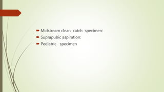  Midstream clean catch specimen:
 Suprapubic aspiration:
 Pediatric specimen
 