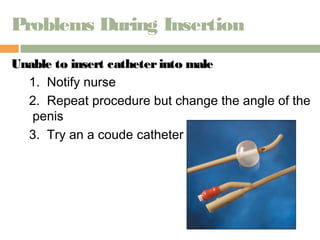 Problems During Insertion 
Unable to insert ccaatthheetteerr iinnttoo mmaallee 
1. Notify nurse 
2. Repeat procedure but change the angle of the 
penis 
3. Try an a coude catheter 
 