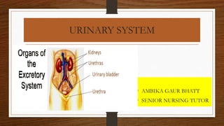 URINARY SYSTEM
• AMBIKA GAUR BHATT
• SENIOR NURSING TUTOR
 