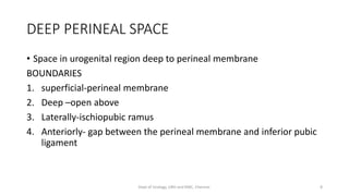 DEEP PERINEAL SPACE
• Space in urogenital region deep to perineal membrane
BOUNDARIES
1. superficial-perineal membrane
2. Deep –open above
3. Laterally-ischiopubic ramus
4. Anteriorly- gap between the perineal membrane and inferior pubic
ligament
8
Dept of Urology, GRH and KMC, Chennai.
 