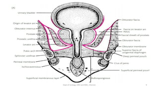 9
Dept of Urology, GRH and KMC, Chennai.
 