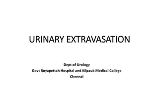 URINARY EXTRAVASATION
Dept of Urology
Govt Royapettah Hospital and Kilpauk Medical College
Chennai
 