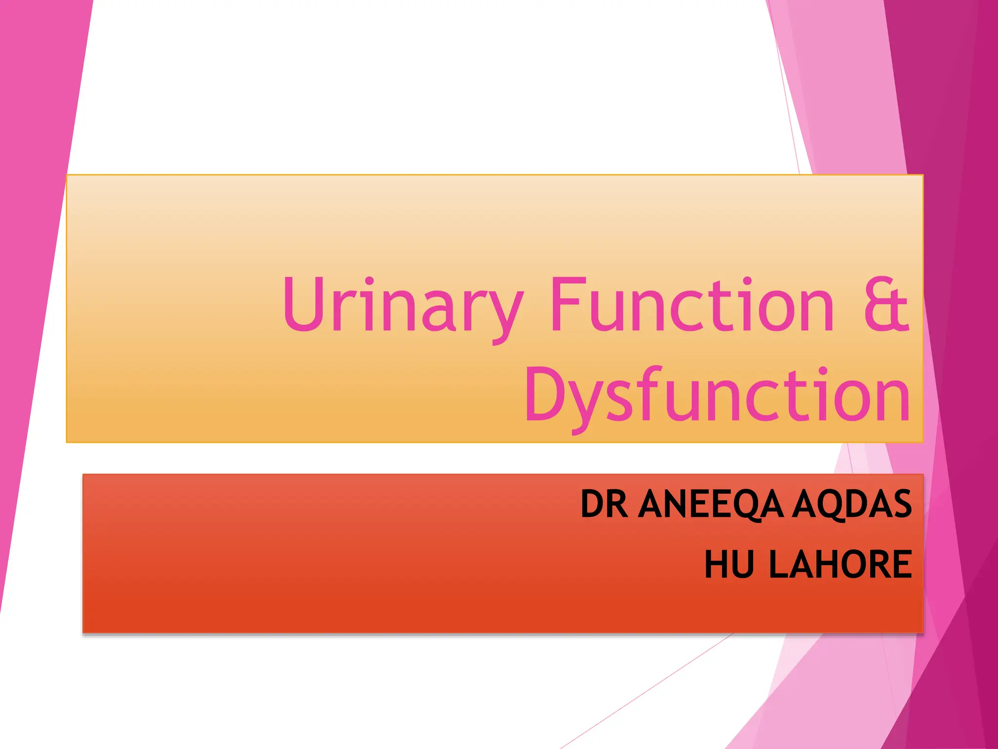 Urinary Function and Dysfunction For a Subject Gerontology and ...