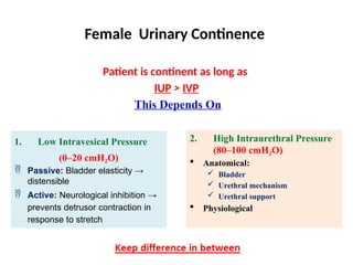 Female Urinary Incontinence , Dr. Ahmed Walid Anwar Morad ; Benha ...