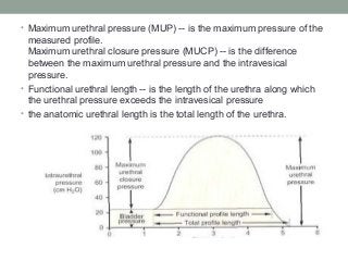 • Maximum urethral pressure (MUP) -- is the maximum pressure of the
measured profile.
Maximum urethral closure pressure (MUCP) -- is the difference
between the maximum urethral pressure and the intravesical
pressure.
• Functional urethral length -- is the length of the urethra along which
the urethral pressure exceeds the intravesical pressure
• the anatomic urethral length is the total length of the urethra.
•
 