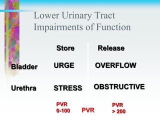 Lower Urinary Tract
Impairments of Function
Store Release
Bladder
Urethra
URGE
STRESS
OVERFLOW
OBSTRUCTIVE
PVR
PVR
0-100
PVR
> 200
 