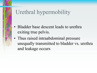 Urethral hypermobility
• Bladder base descent leads to urethra
exiting true pelvis.
• Thus raised intraabdominal pressure
unequally transmitted to bladder vs. urethra
and leakage occurs
 