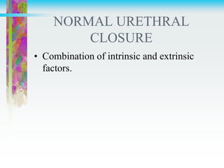 NORMAL URETHRAL
CLOSURE
• Combination of intrinsic and extrinsic
factors.
 