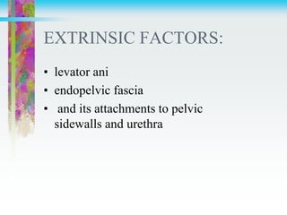 EXTRINSIC FACTORS:
• levator ani
• endopelvic fascia
• and its attachments to pelvic
sidewalls and urethra
 