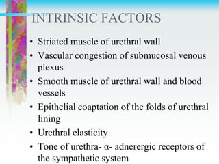 INTRINSIC FACTORS
• Striated muscle of urethral wall
• Vascular congestion of submucosal venous
plexus
• Smooth muscle of urethral wall and blood
vessels
• Epithelial coaptation of the folds of urethral
lining
• Urethral elasticity
• Tone of urethra- α- adnerergic receptors of
the sympathetic system
 