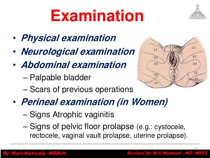 Pelvic Floor Biofeedback Device
