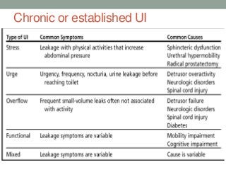 Chronic or established UI
 