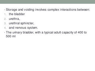 • Storage and voiding involves complex interactions between:
1. the bladder
2. urethra,
3. urethral sphincter,
4. and nervous system.
• The urinary bladder, with a typical adult capacity of 400 to
500 ml
 