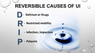 REVERSIBLE CAUSES OF UI
- Delirium or Drugs
- Restricted mobility
- Infection, impaction
- Polyuria
I
P
R
D
 