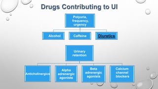 Polyuria,
frequency,
urgency
Alcohol Caffeine Diuretics
Urinary
retention
Anticholinergics
Alpha
adrenergic
agonists
Beta
adrenergic
agonists
Calcium
channel
blockers
 