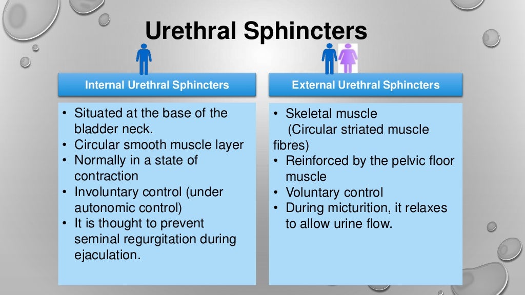 Urinary Incontinence