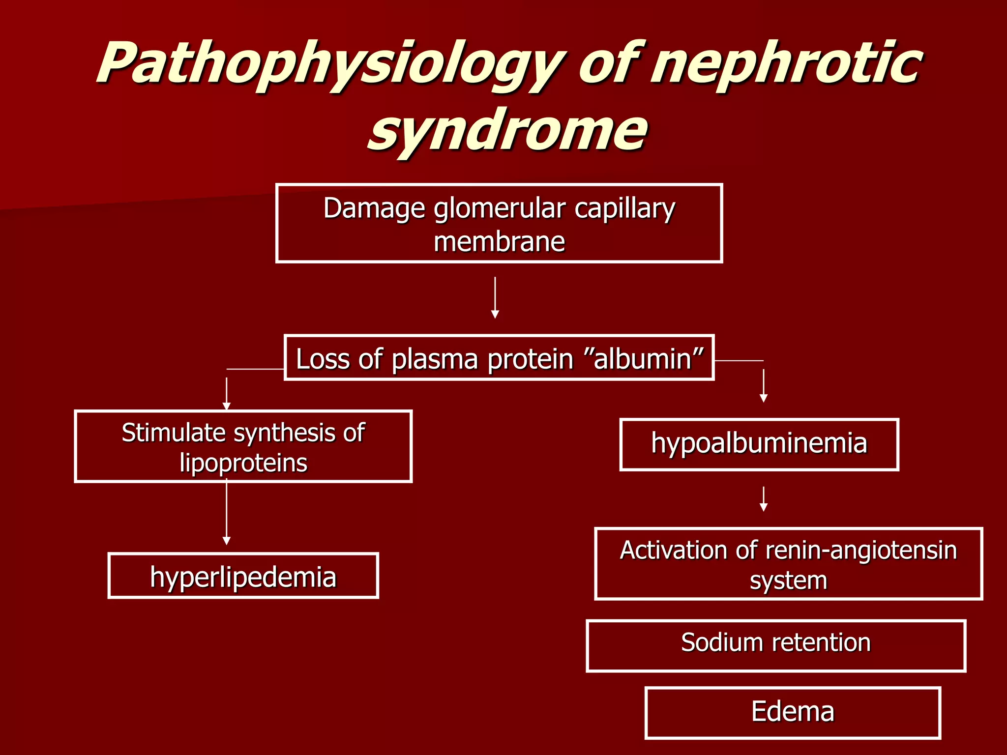 Pathophysiology of nephrotic
syndrome
Damage glomerular capillary
membrane
Loss of plasma protein ”albumin”
Stimulate synthesis of
lipoproteins
hyperlipedemia
hypoalbuminemia
Activation of renin-angiotensin
system
Sodium retention
Edema
 