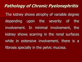 Pathology of Chronic Pyelonephritis
The kidney shows atrophy of variable degree
depending upon the severity of the
involvement. In minimal involvement, the
kidney shows scarring in the renal surfaces
while in extensive involvement, there is a
fibrosis specially in the pelvic mucosa.
 
