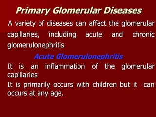 Primary Glomerular Diseases
A variety of diseases can affect the glomerular
capillaries, including acute and chronic
glomerulonephritis
Acute Glomerulonephritis
It is an inflammation of the glomerular
capillaries
It is primarily occurs with children but it can
occurs at any age.
 