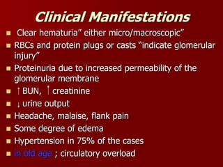 Clinical Manifestations
 Clear hematuria” either micro/macroscopic”
 RBCs and protein plugs or casts “indicate glomerular
injury”
 Proteinuria due to increased permeability of the
glomerular membrane
 BUN, creatinine
 urine output
 Headache, malaise, flank pain
 Some degree of edema
 Hypertension in 75% of the cases
 in old age ; circulatory overload
 