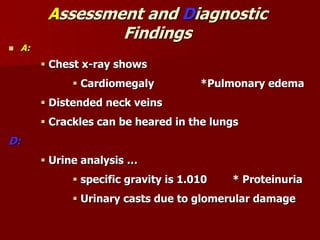 Assessment and Diagnostic
Findings
 A:
 Chest x-ray shows
 Cardiomegaly *Pulmonary edema
 Distended neck veins
 Crackles can be heared in the lungs
D:
 Urine analysis …
 specific gravity is 1.010 * Proteinuria
 Urinary casts due to glomerular damage
 