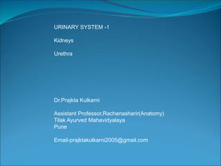 URINARY SYSTEM -1
Kidneys
Urethra
Dr.Prajkta Kulkarni
Assistant Professor,Rachanasharir(Anatomy)
Tilak Ayurved Mahavidyalaya
Pune
Email-prajktakulkarni2005@gmail.com
 