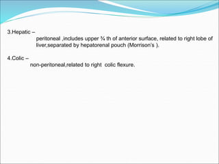 3.Hepatic –
peritoneal ,includes upper ¾ th of anterior surface, related to right lobe of
liver,separated by hepatorenal pouch (Morrison’s ).
4.Colic –
non-peritoneal,related to right colic flexure.
 
