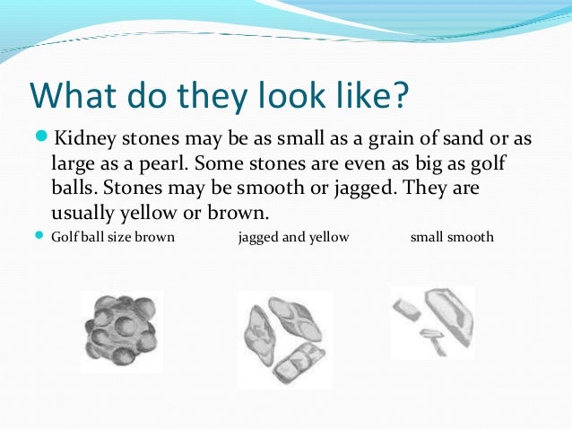 Urinary Noyouranary 2