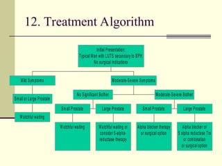 urinary obstruction and benign prostate hyperplasia.ppt