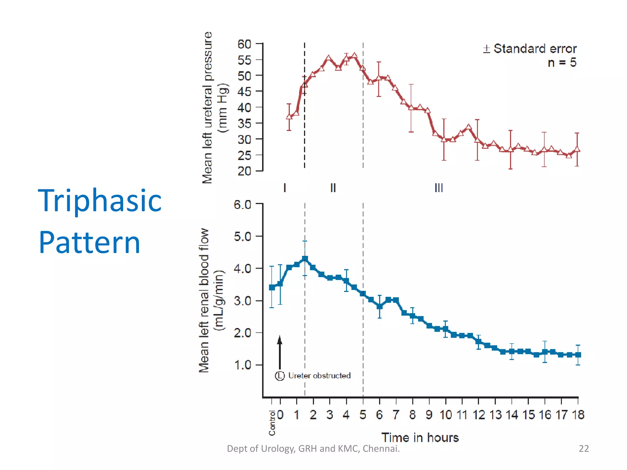 Triphasic
Pattern
22
Dept of Urology, GRH and KMC, Chennai.
 