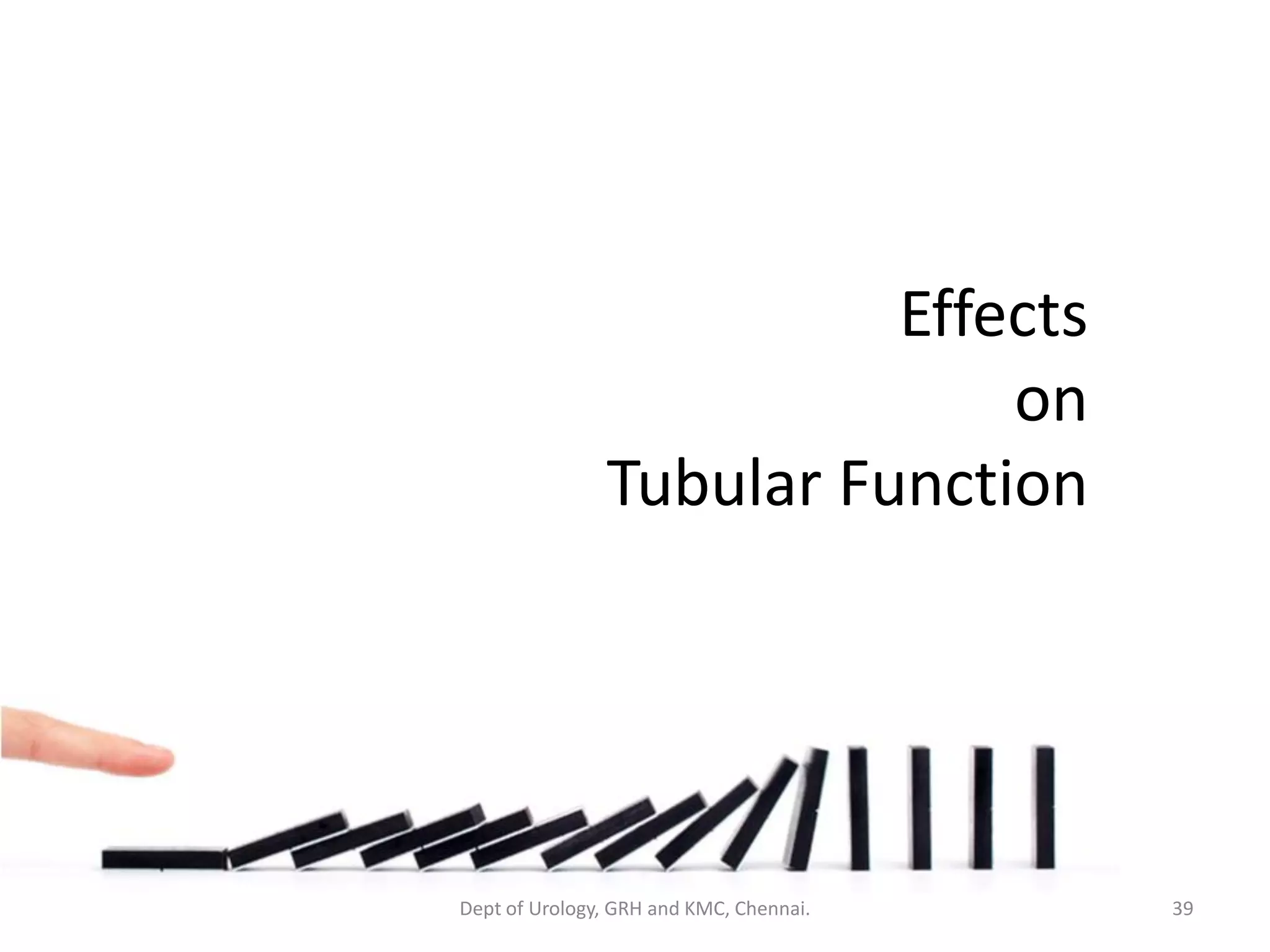 Effects
on
Tubular Function
39
Dept of Urology, GRH and KMC, Chennai.
 