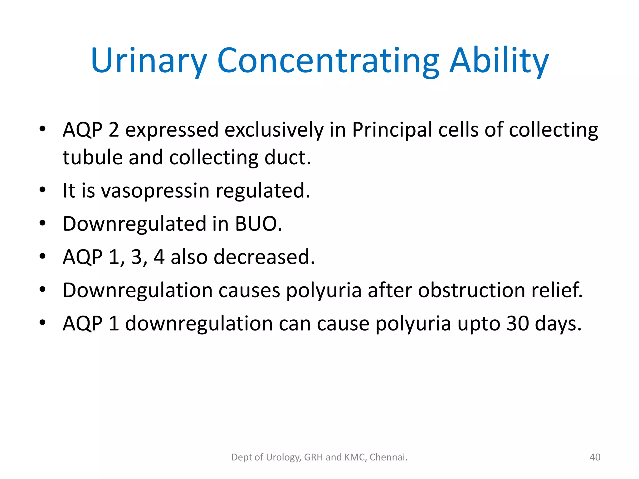 Urinary Concentrating Ability
• AQP 2 expressed exclusively in Principal cells of collecting
tubule and collecting duct.
• It is vasopressin regulated.
• Downregulated in BUO.
• AQP 1, 3, 4 also decreased.
• Downregulation causes polyuria after obstruction relief.
• AQP 1 downregulation can cause polyuria upto 30 days.
40
Dept of Urology, GRH and KMC, Chennai.
 