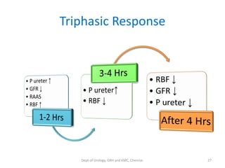 Urinary obstruction pathophysiology | PDF