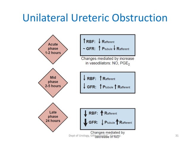 Urinary Obstruction Algorithm Urinary obstruction pathophysiology | PDF
