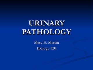 URINARY PATHOLOGY Mary E. Martin Biology 120 