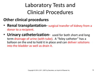 Copyright © 2014, 2011, 2007 by Saunders, an imprint of Elsevier Inc. 18
Laboratory Tests and
Clinical Procedures
Other clinical procedures
• Renal transplantation- surgical transfer of kidney from a
donor to a recipient.
• Urinary catheterization- used for both short and long
term drainage of urine (with tube). A “foley catheter” has a
balloon on the end to hold it in place and can deliver solutions
into the bladder as well as drain it.
 