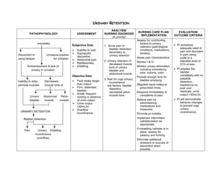 URINARY RETENTION
                                                                            ANALYSIS/
                                                                                                    NURSING CARE PLAN/              EVALUATION/
         PATHOPHYSIOLOGY                          ASSESSMENT            NURSING DIAGNOSIS
                                                                                                     IMPLEMENTATION               OUTCOME CRITERIA
                                                                            (in priority)
                                                                                                   Assess for contributing
                 Immobility                                                                          factors to urinary
                                              Subjective Data:          1. Acute pain r/t                                          Pt verbalizes
                                                                                                     retention (pathological
                                                                            bladder distention                                         adequate relief of
                                                 Inability to void                                  conditions, medications,          pain and decrease
                                                 Suprapubic                secondary to             anxiety).
Discomfort of            Unnatural position                                 urinary retention                                          in pain rating
                                                  discomfort                                       Asses pain characteristics.         scale to a
using bedpan                  for urination      Abdominal pain        2. Urinary retention r/t   Monitor I & O.                      tolerable level of
                                                 Restlessness              decreased muscle                                           2/10 or less.
       Embarrassment & lack of                   Dribbling                 tone of urinary        Monitor urinary elimination
         privacy in urination                                                                       including consistency,         Pt empties the
                                                                            bladder and
                                                                                                    odor, volume, color.               bladder
                                                                            abdominal muscle
                                              Objective Data:                                                                          completely with no
                                                                                                   Provide enough time for
                                                                        3. Risk for urge urinary                                       palpable
Inability to relax    Decreased                  Fluid intake larger                                bladder emptying.
                                                                             incontinence                                              distention,
perineal muscles      muscle tone of              than output                                      Regulate liquid intake at           experience no
                                                                           risk factors: bladder
                                                 Firm, distended                                    prescribed times.                 post void
                                                                             distention,
                                                  bladder                                                                              residuals, urine
                                                                             decreased pelvic      Respond immediately to
                                                 Small, frequent                                                                      output >30mL/hr.
         Urinary      Abdominal    Pelvic                                    muscle tone             complaints of pain.
                                                  voiding or absence
         bladder       muscle      muscle         of urine output                                  Relieve pain by                 Pt will demonstrate
                                                 Urine output                                       administering                     behavior changes
                                                  ≤30mL/hr                                           medications and                   to prevent urge
                                                 Overflow                                           measures.                         urinary
 URINARY RETENTION                                                                                                                     incontinence.
                                                  incontinence                                     Promote pt mobility.
    Bladder distention                                                                             Implement intermittent
                                                                                                     catheterization as
                                                                                                     appropriate.
                                                                                                   If indwelling catheter is in
     Pain         Urinary Dribbling
                                                                                                       place, assess for
                Incontinence                                                                           patency and kinking.
                 (overflow)
                                                                                                   Eliminate additional
                                                                                                      stressors or sources of
                                                                                                      discomfort when
                                                                                                      possible.
 