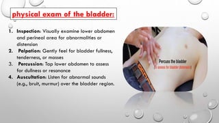 Urinary retention seminar........pdf. by Hamzah Al-haddad | PDF