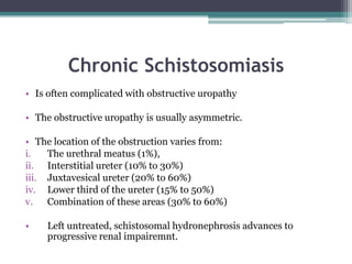 Chronic Schistosomiasis
• Is often complicated with obstructive uropathy
• The obstructive uropathy is usually asymmetric.
• The location of the obstruction varies from:
i. The urethral meatus (1%),
ii. Interstitial ureter (10% to 30%)
iii. Juxtavesical ureter (20% to 60%)
iv. Lower third of the ureter (15% to 50%)
v. Combination of these areas (30% to 60%)
• Left untreated, schistosomal hydronephrosis advances to
progressive renal impairemnt.
 