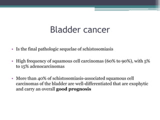 Bladder cancer
• Is the final pathologic sequelae of schistosomiasis
• High frequency of squamous cell carcinomas (60% to 90%), with 5%
to 15% adenocarcinomas
• More than 40% of schistosomiasis-associated squamous cell
carcinomas of the bladder are well-differentiated that are exophytic
and carry an overall good prognosis
 