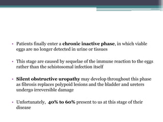 • Patients finally enter a chronic inactive phase, in which viable
eggs are no longer detected in urine or tissues
• This stage are caused by sequelae of the immune reaction to the eggs
rather than the schistosomal infection itself
• Silent obstructive uropathy may develop throughout this phase
as fibrosis replaces polypoid lesions and the bladder and ureters
undergo irreversible damage
• Unfortunately, 40% to 60% present to us at this stage of their
disease
 