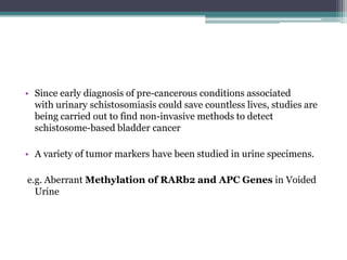 • Since early diagnosis of pre-cancerous conditions associated
with urinary schistosomiasis could save countless lives, studies are
being carried out to find non-invasive methods to detect
schistosome-based bladder cancer
• A variety of tumor markers have been studied in urine specimens.
e.g. Aberrant Methylation of RARb2 and APC Genes in Voided
Urine
 
